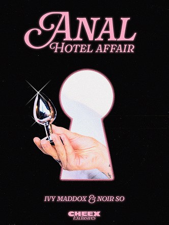 Anal Hotel Affair